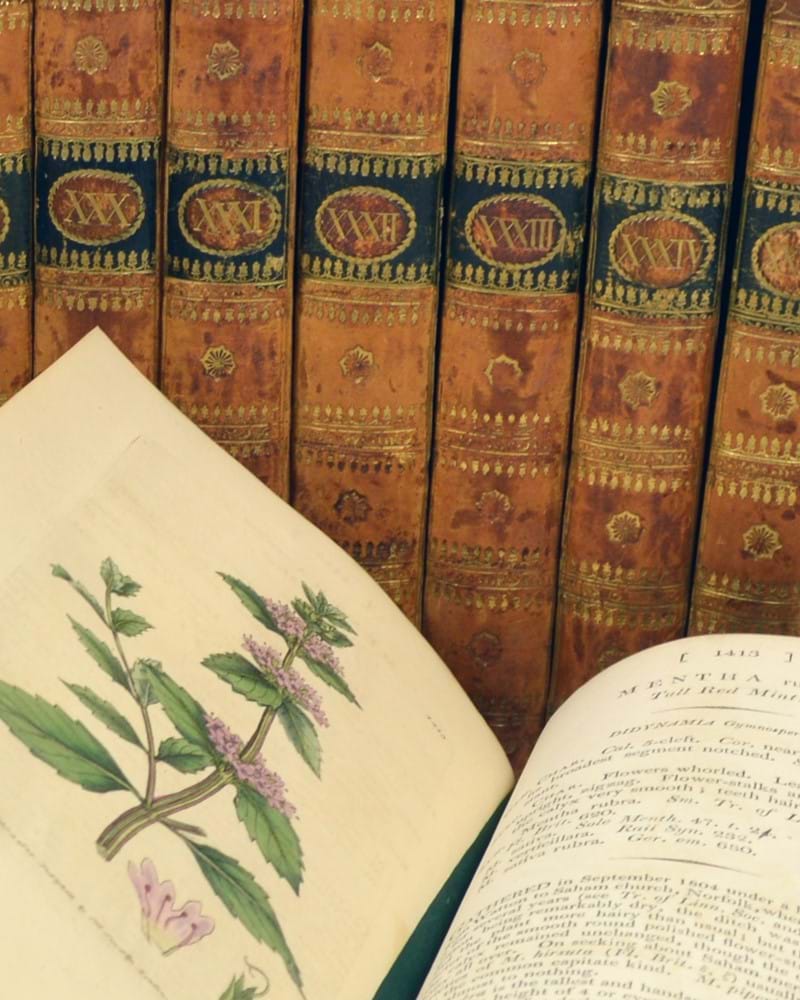 Books, Maps & Manuscripts Module