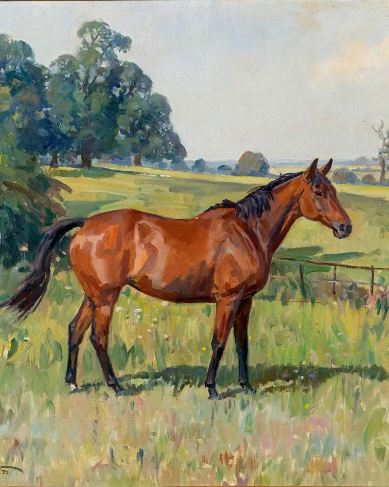 FS151119 Catalogue Cover