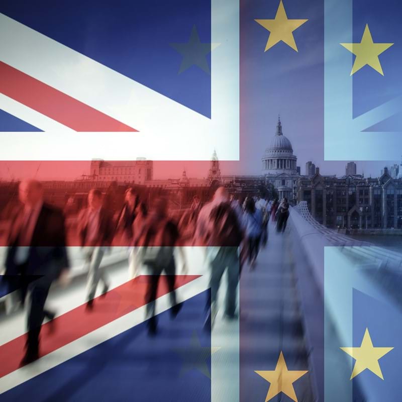 The Brexit Transition...