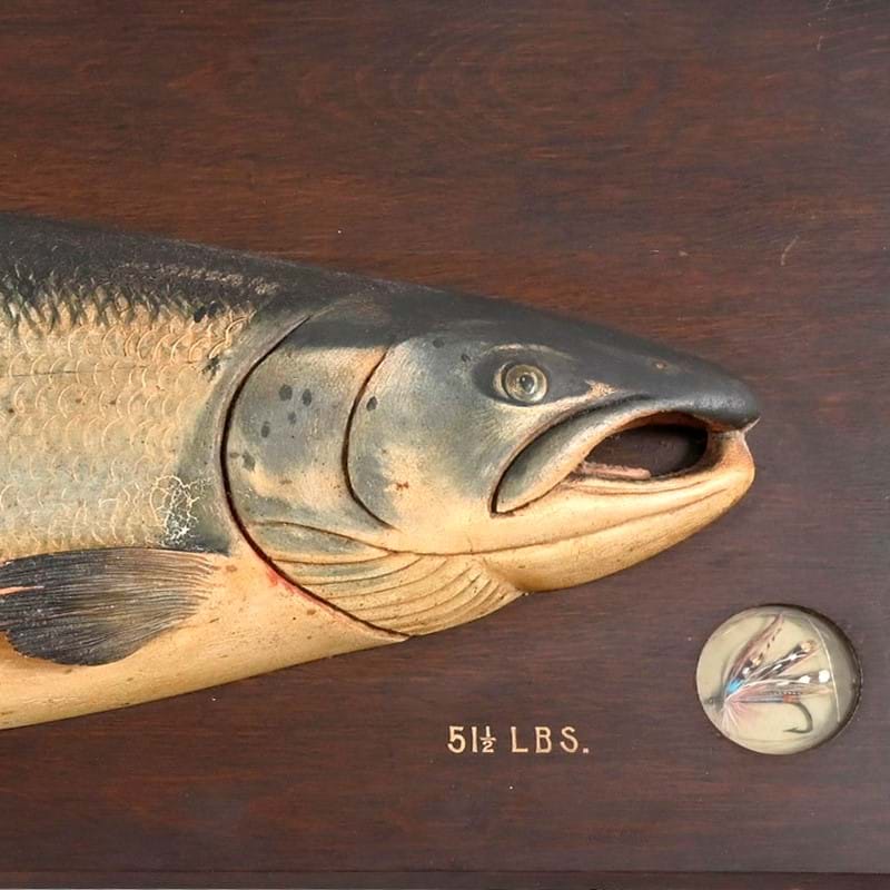 Salmon Swims Home to £17,000...