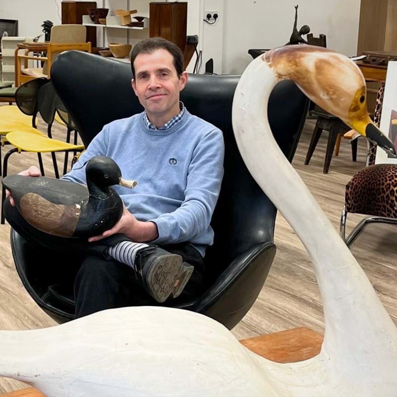 Swan Set to Swoop in Auction...